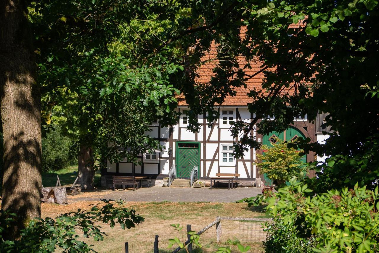 Suffelmuehle Villa Bad Driburg Bagian luar foto