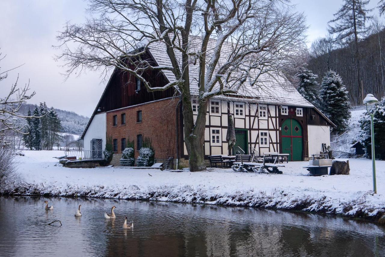 Suffelmuehle Villa Bad Driburg Bagian luar foto